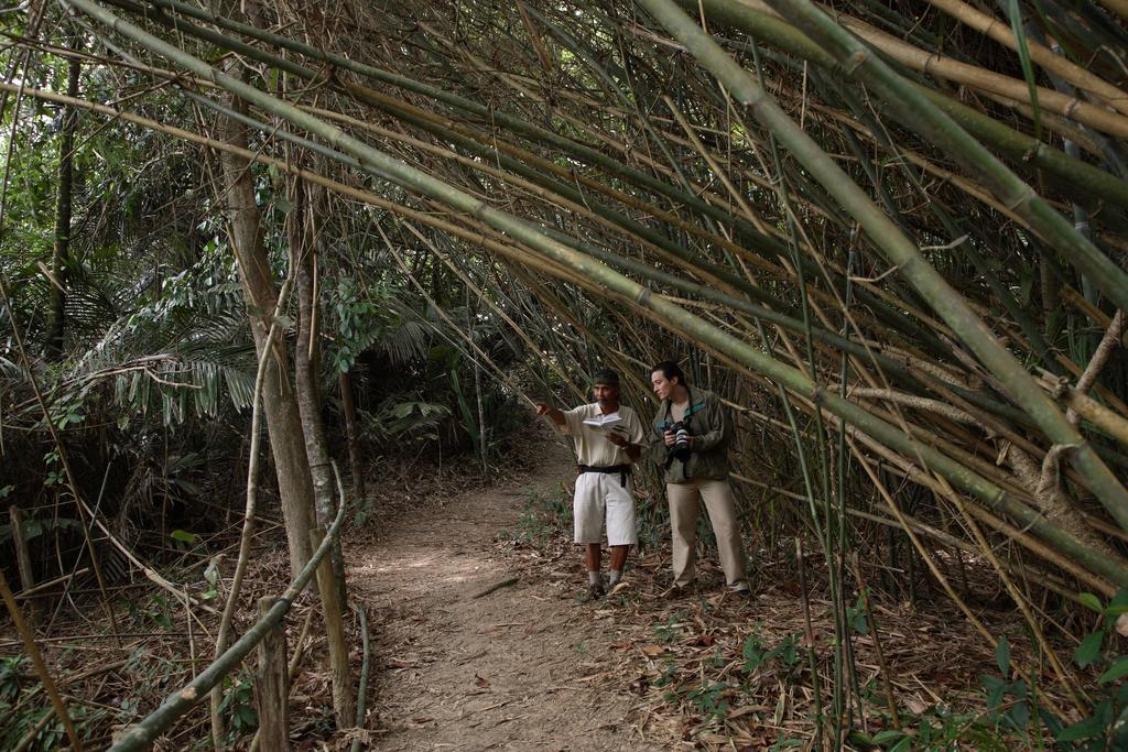 Tanjong Jara Resort, Terengganu - A Small Luxury Hotels Of The World Dungun Esterno foto Bamboo forest in the park